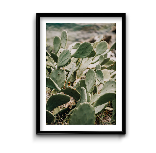 plakaty Plakat Śródziemnomorze No.5