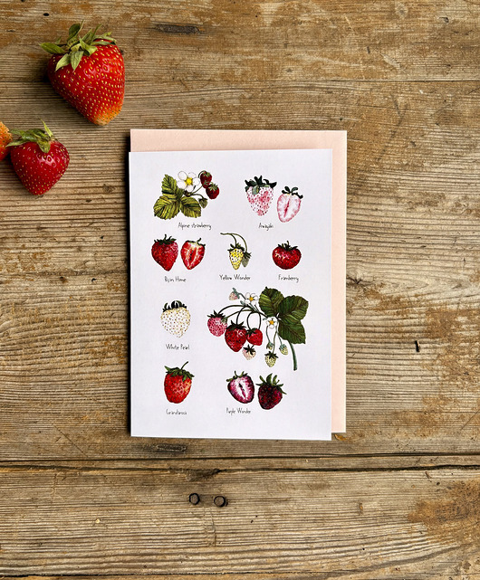 kartki okolicznościowe - wydruki Truskawki- Kartka- Grafika- Ilustracja- Owoce