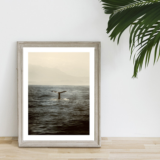 Plakat WHALE muybien