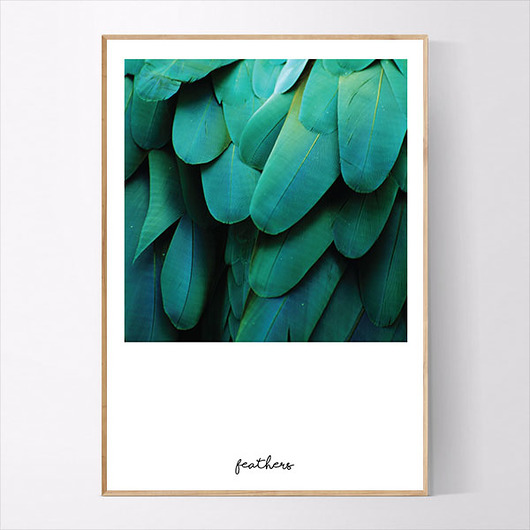 Plakat FEATHERS MUKKO