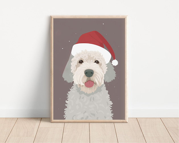 plakaty Plakat lagotto romagnolo