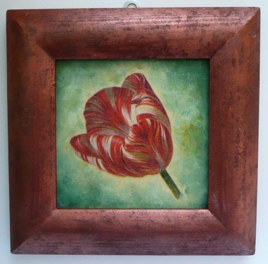 Tulipany Monika Sibiga