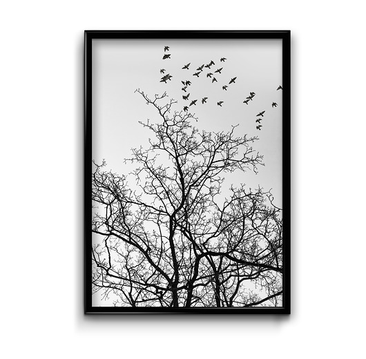 plakaty Plakat Lot 