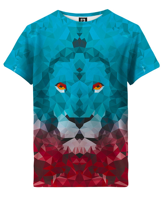 t-shirty dla chłopców T-shirt Boy DR.CROW Lew Trójkąt