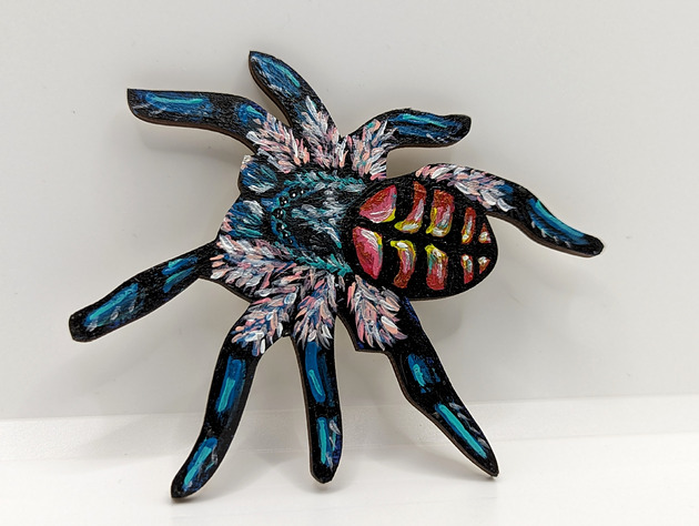 magnesy Typhochlaena seladonia