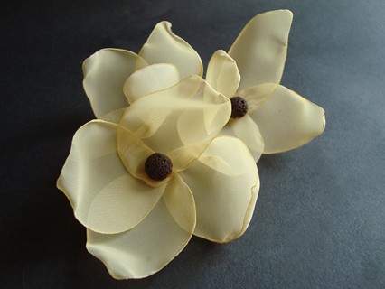 DAFOE__ZAMÓWIENIE SundayRose