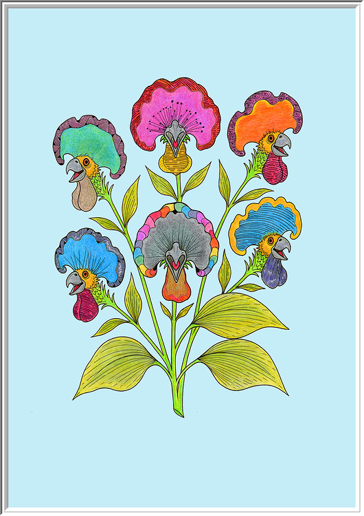 grafiki i ilustracje 79. Osobliwości Botaniczne: Kokoryczka