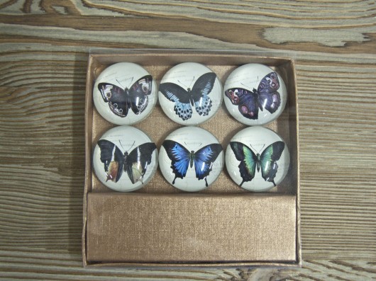 Magnesy Butterfly MIA home