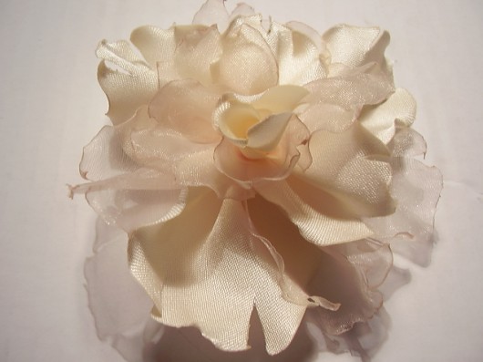 gardenia jasminowa ruda klara