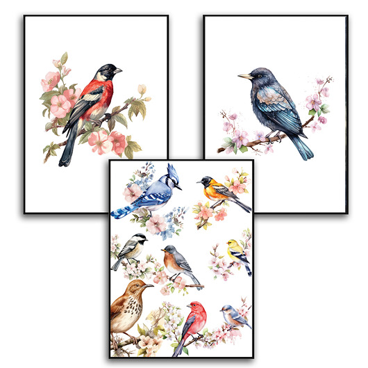 plakaty ZESTAW PLAKATY OBRAZY WIOSNA KOLOROWE PTAKI 3 SZT