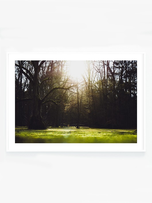 fotografia Światło, krajobraz
