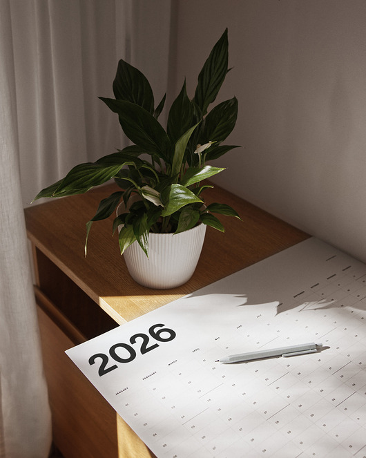 kalendarze i plannery Kalendarz ścienny 2026/ wzór 2