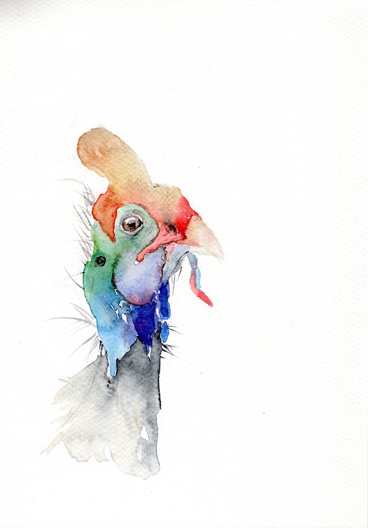 obrazy Oryginalna akwarela. Indyk