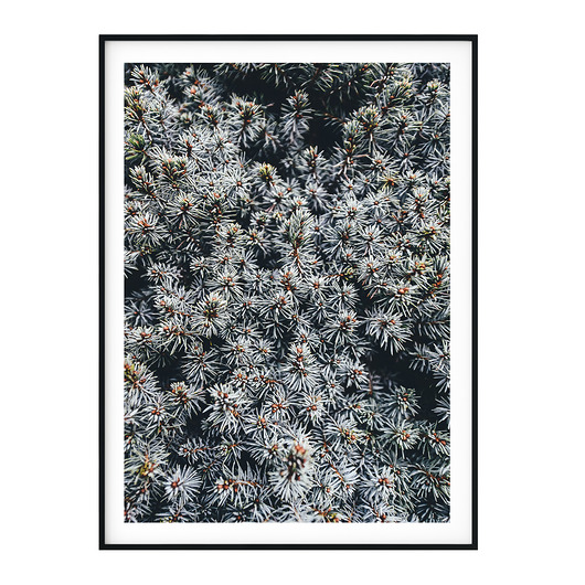 Plakat skandynawski Iglak no. 1 myscandi