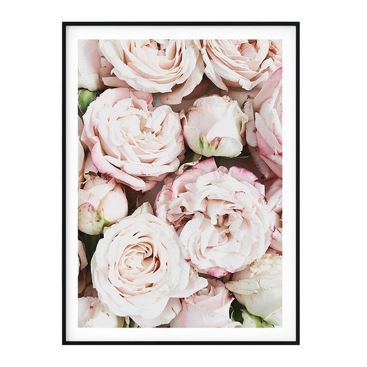 Plakat skandynawski botaniczny Roses myscandi