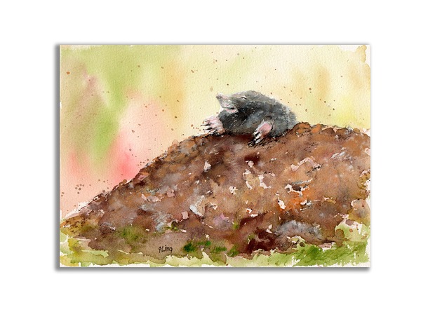 grafiki i ilustracje Kret. Akwarela ręcznie malowana