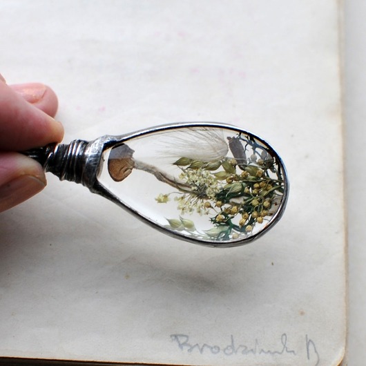 wisiory Las i Grzybki