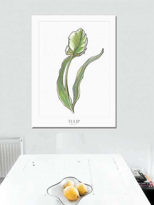tulipan plakat / poster Margo Hupert
