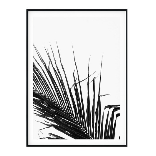 Plakat skandynawski botaniczny Liść Palmy myscandi