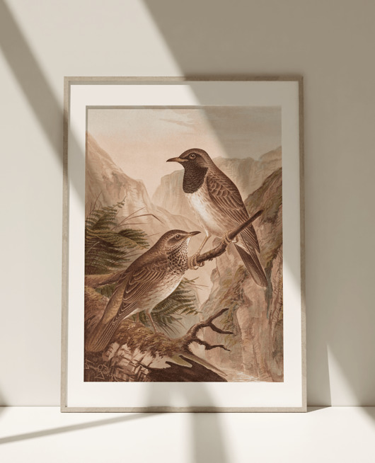 plakaty Obraz Plakat Vintage Ptaki Birds