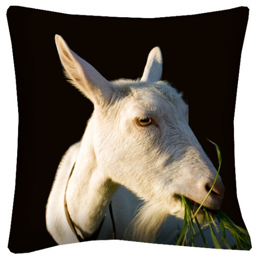 koza z woza (na kanapę:) 45cm AT design