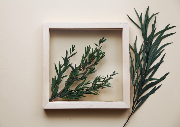 inne Obraz liście Lepto Longifolia S