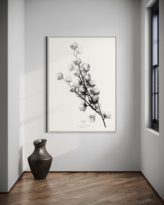 grafiki i ilustracje Cotton flowers