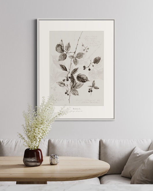 plakaty Plakat Jeżyny 30x40 cm
