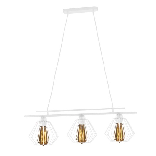lampy wiszące Druciana lampa wisząca z 2 źródłami światła TIJUANA LOFT