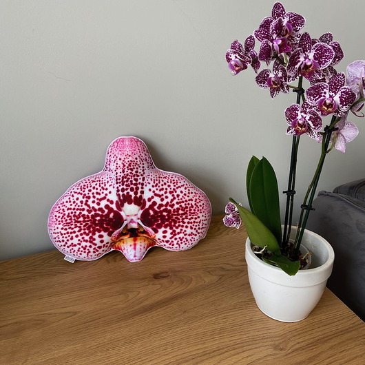 Poduszka May Storczyk Orchidea Phalaenopsis