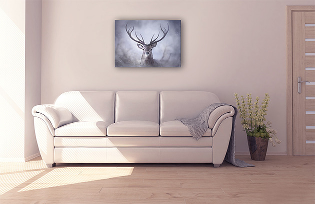 obrazy Obraz - Jeleń - wydruk na płótnie