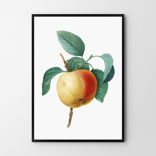 plakaty Plakat Jabłko vintage
