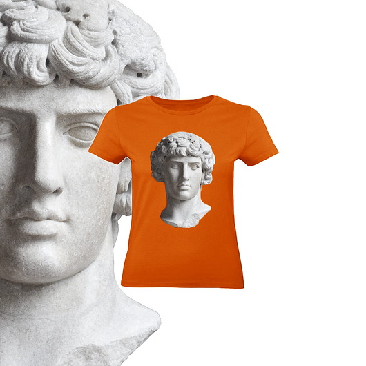 t-shirt damskie Pomarańczowa  koszulka damska  DAVID