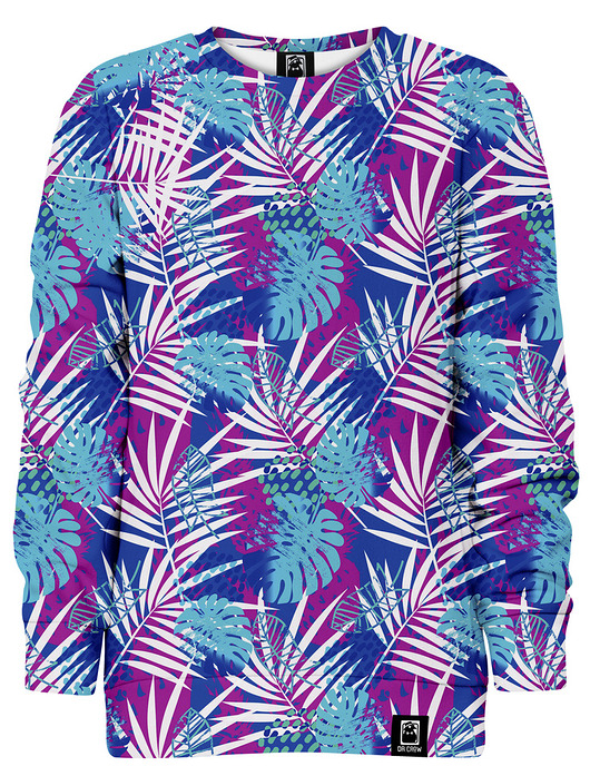 bluzy dla chłopców Bluza bez kaptura Chłopiec DR.CROW Palmy