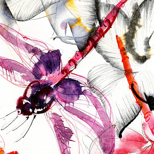 grafiki i ilustracje Dragonfly 2 - grafika