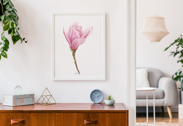 grafiki i ilustracje Magnolia, grafika, akwarela