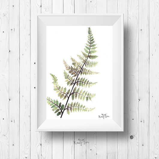Plakat skandynawski 30x40 cm - Paproć Merely Susan