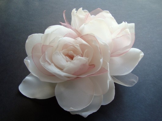 biała mimoza SundayRose