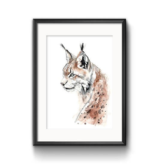 grafiki i ilustracje Ryś Ryszard, 30x21 cm, A4