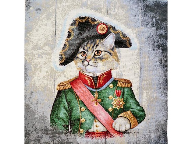 poduszki z grafiką Poduszka ozdobna Kot Bonaparte