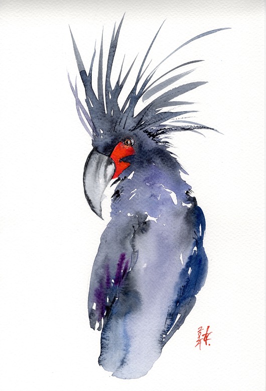 obrazy Oryginalna akwarela. Papuga