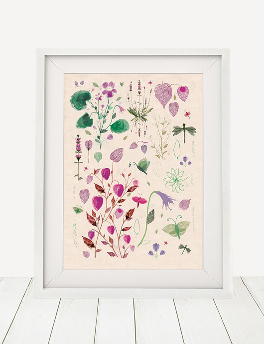 ilustracja botaniczna | A3 Anita Tomala