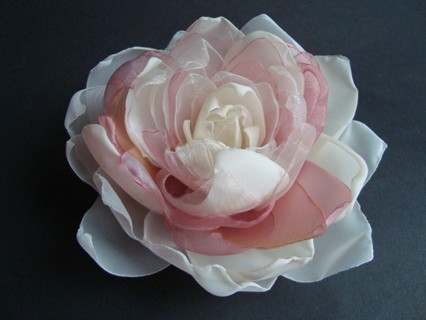 FEDO II SundayRose