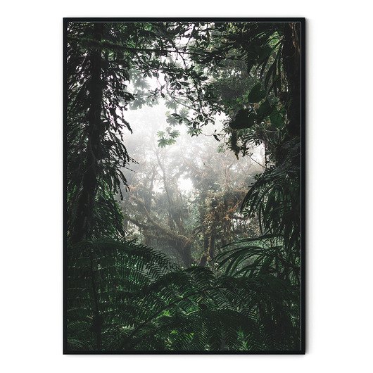 Plakat skandynawski Dżungla no. 7 myscandi