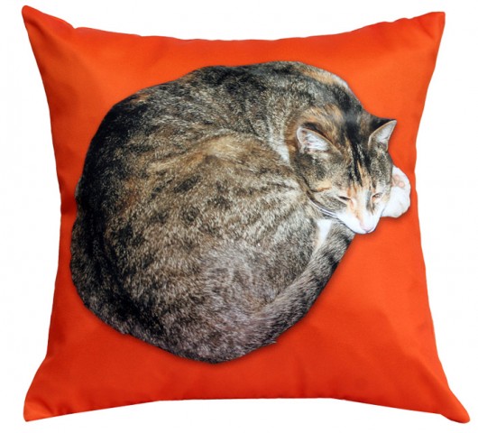 kot dla alergika 36cm :) pomarańcz AT design