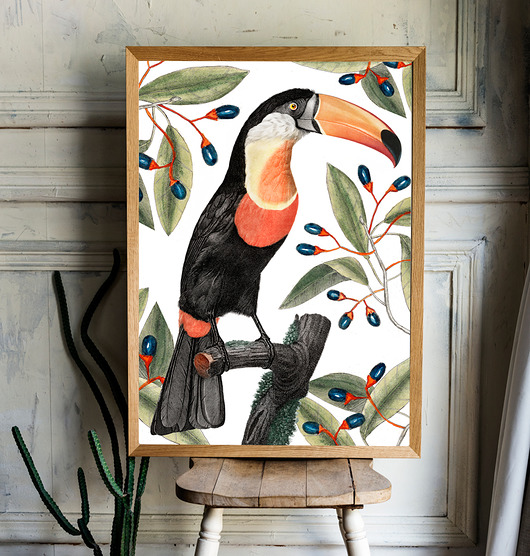 Tropikalny Tukan  30x40 cm - plakat HOG STUDIO