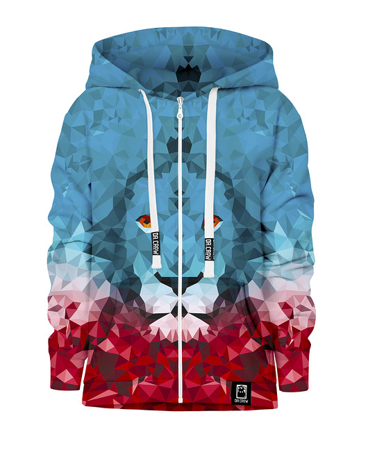 bluzy dla chłopców Bluza Zamek Chłopiec DR.CROW Lew Trójkąt