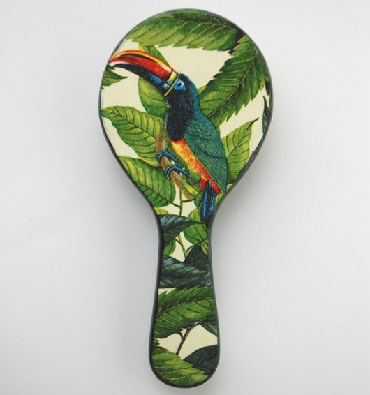 Tukan artrachela