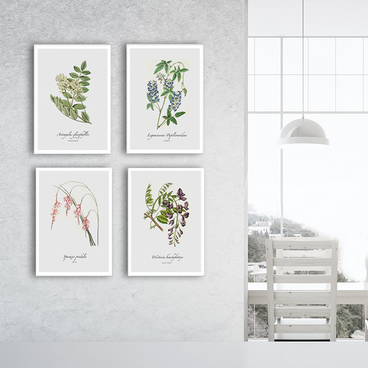 4 plakaty z serii ROŚLINY KWITNĄCE  Poster Gallery Wall
