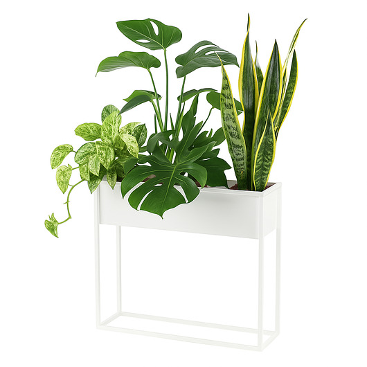 kwietniki Kwietnik Metalowy CUBO 60x60cm biały